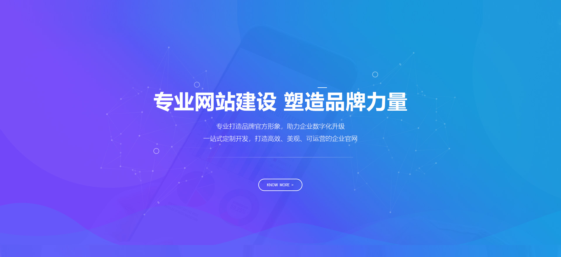 郁南建站-专业网站建设 塑造品牌力量