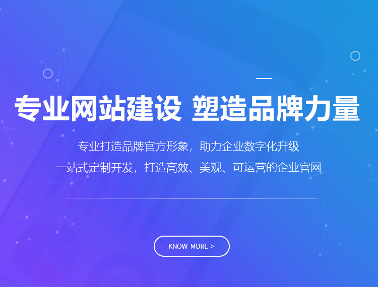 郁南建站-专业网站建设 塑造品牌力量